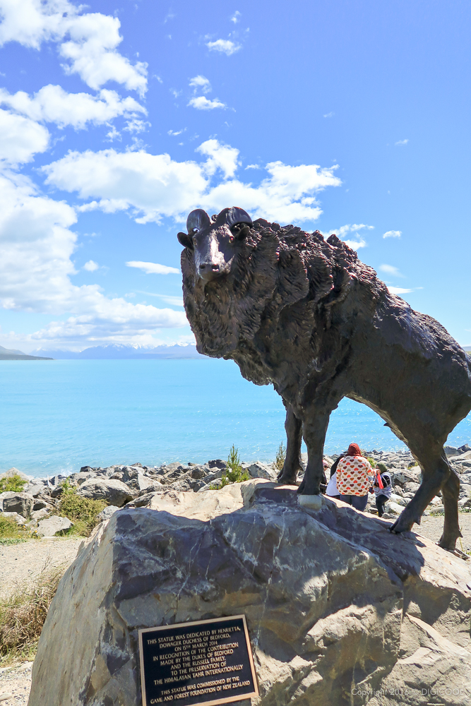 NZ紀行 Day4・ニュージーランド最高峰のマウント・クック（の麓）へ