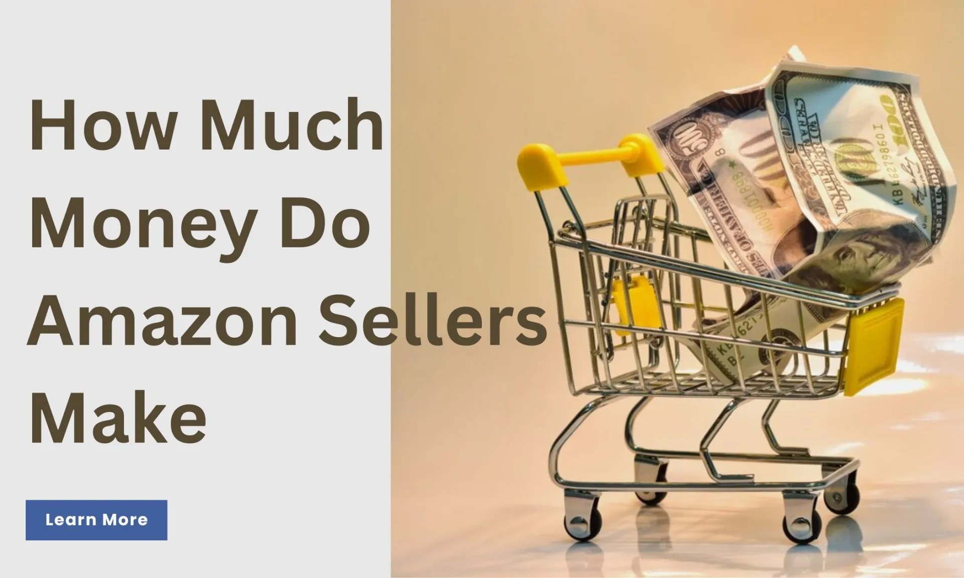 How much money do amazon sellers make