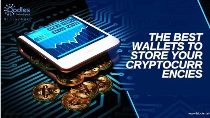 The Best Wallets To Store Your Cryptocurrencies in 2024