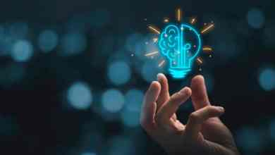 How IT Solutions Help Adapting to Change in Business Environments?