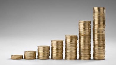 Risks and Rewards in Trading with Penny Stocks