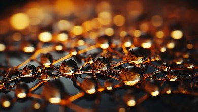 What is HCOOCH CH2 H2O? Everything You Need to Know