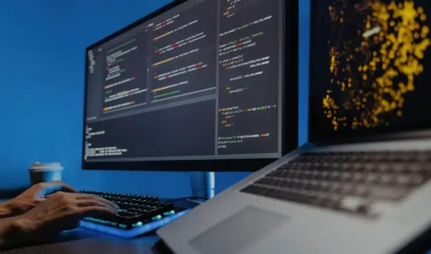 Remote Blockchain Developers