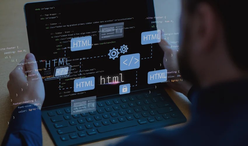 web-based software development services