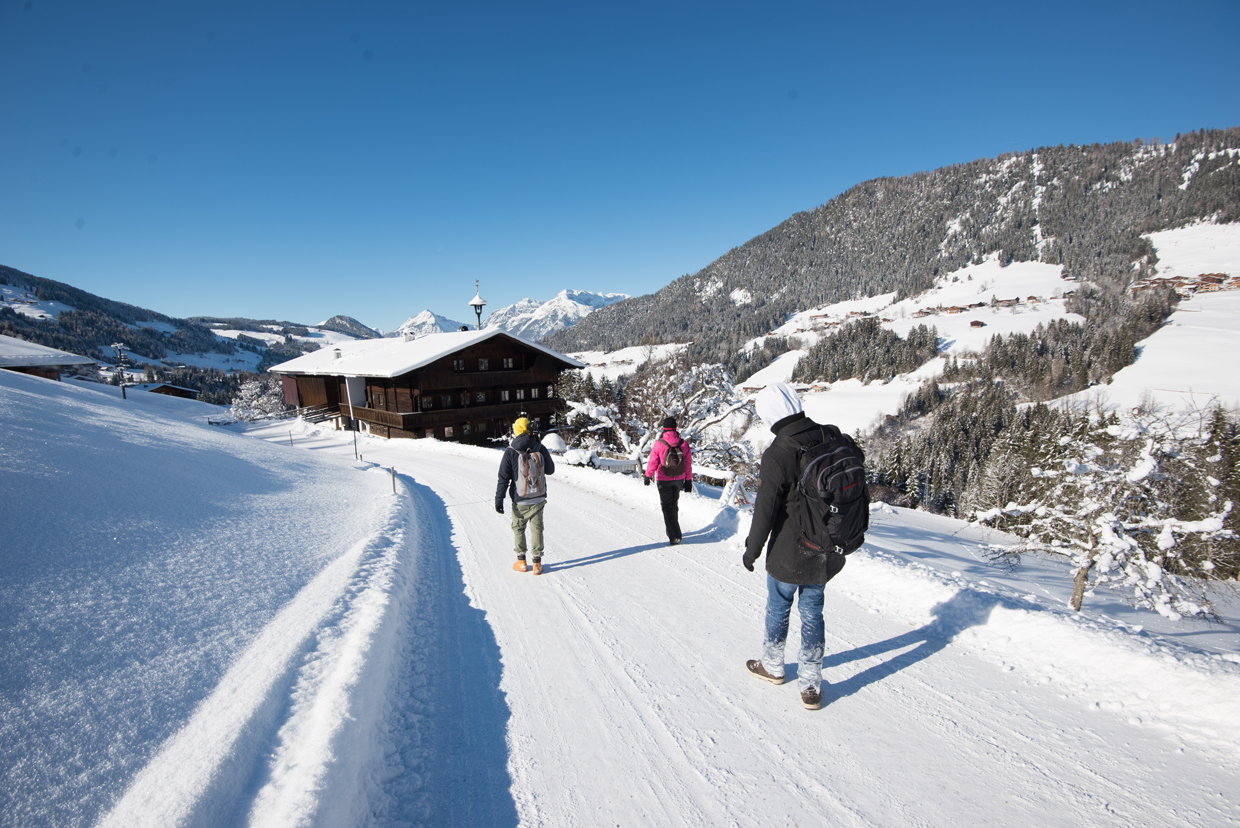 Alpine Studio Fieldtrip to Alpbach | Foto: Marc-Eduard Ihle