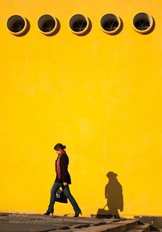 A Collection of Golden Images for Your Viewing Pleasure