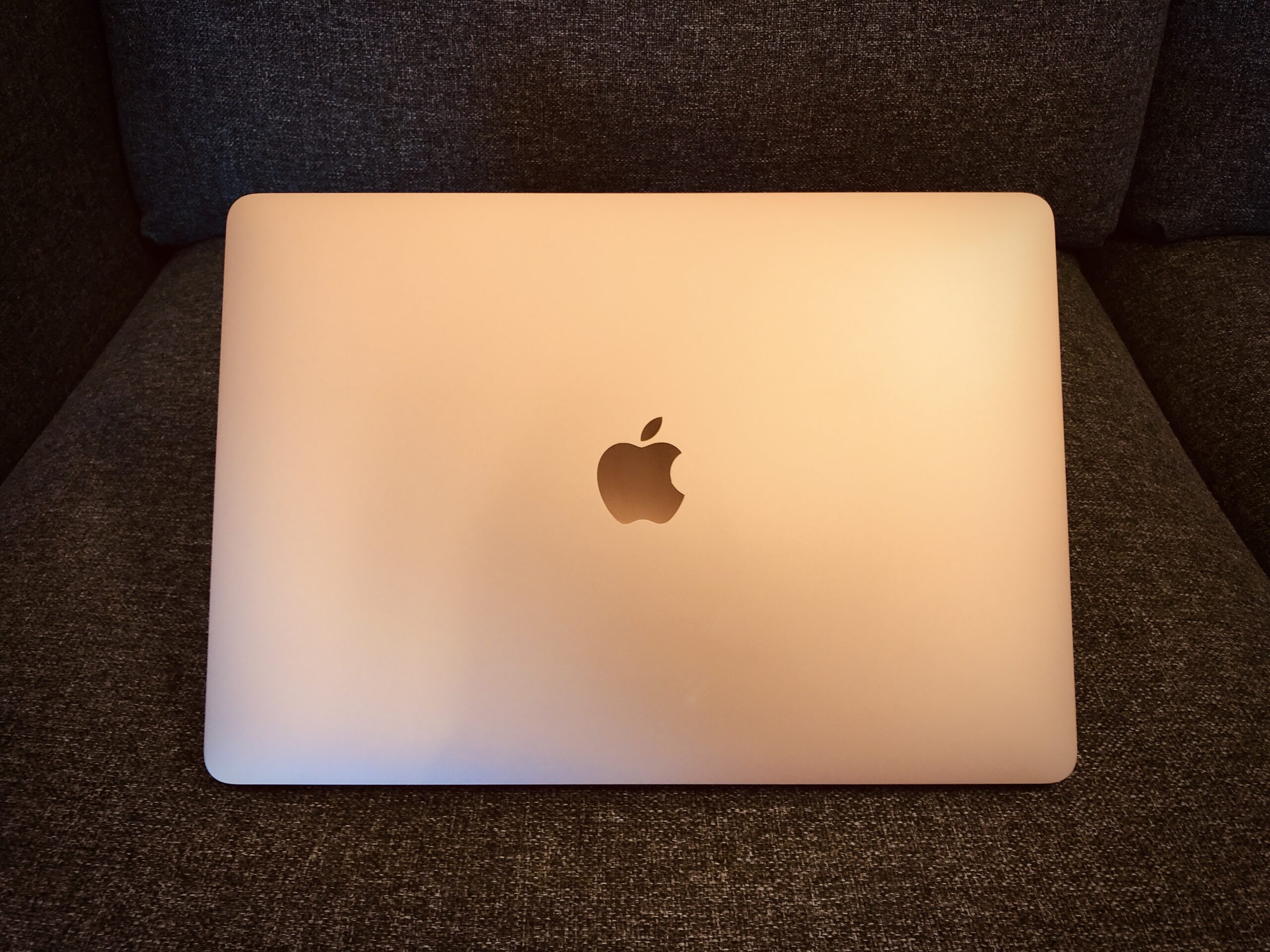 M1 Macbook Air導入 外部モニタ不具合でappleから人生のキビしさを叩き込まれた D A変換生活