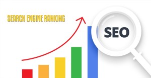 Search Engine Ranking