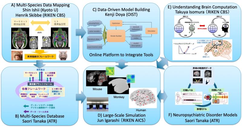 Digital Brain Project Home - Premium Mountain Texture Gallery - 8K