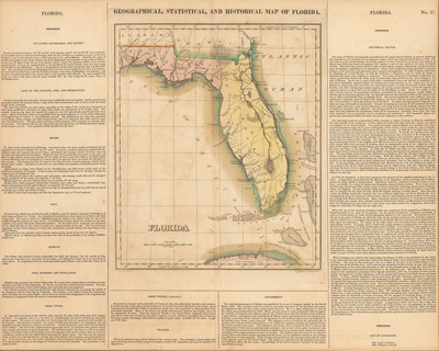 Statistical And Historical Map Of Florida By J Drayton Preview 