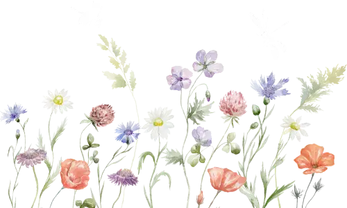 Invitaciones-Digitales-Guatemala-Casa-Pastel