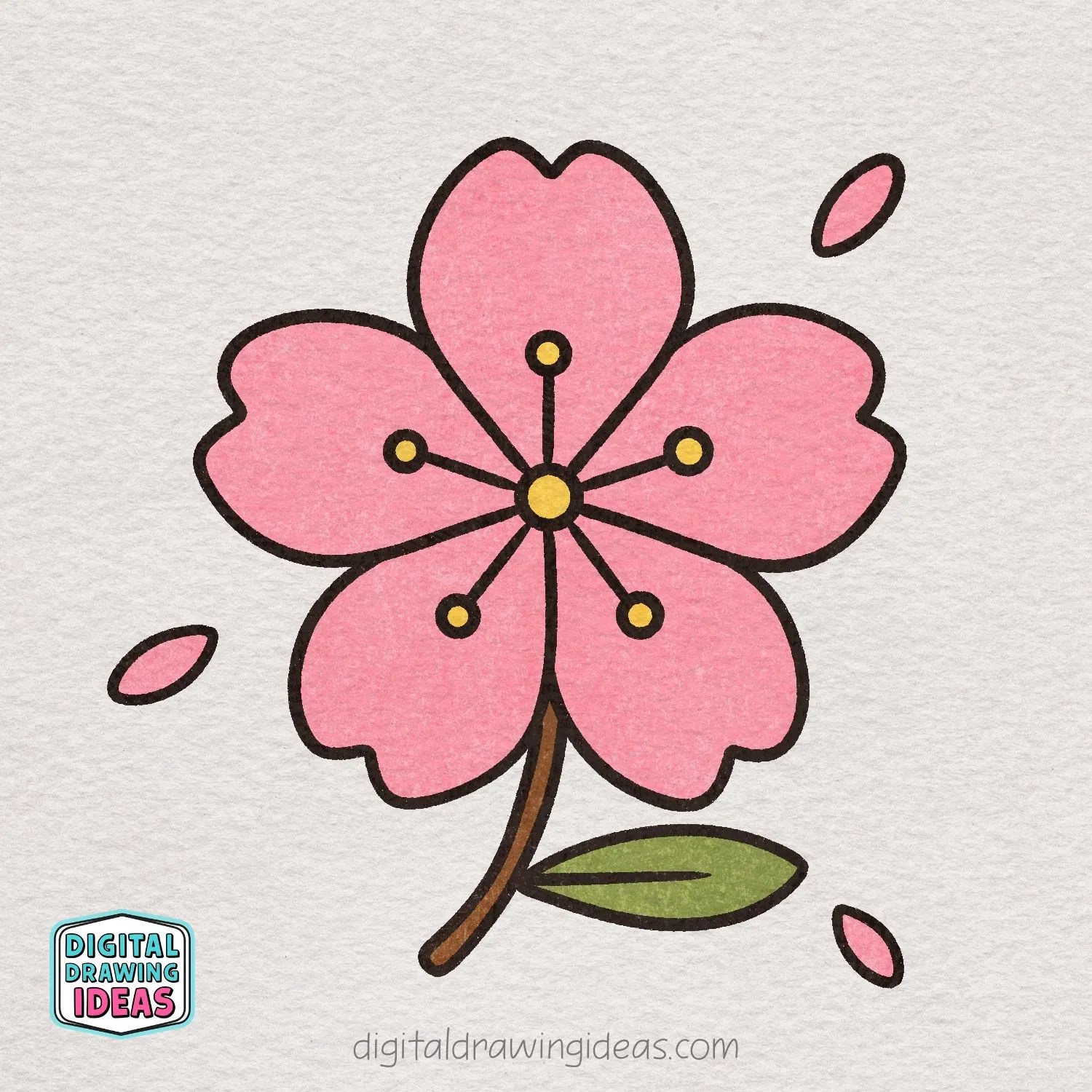 how to draw a sakura flower - sakura drawing