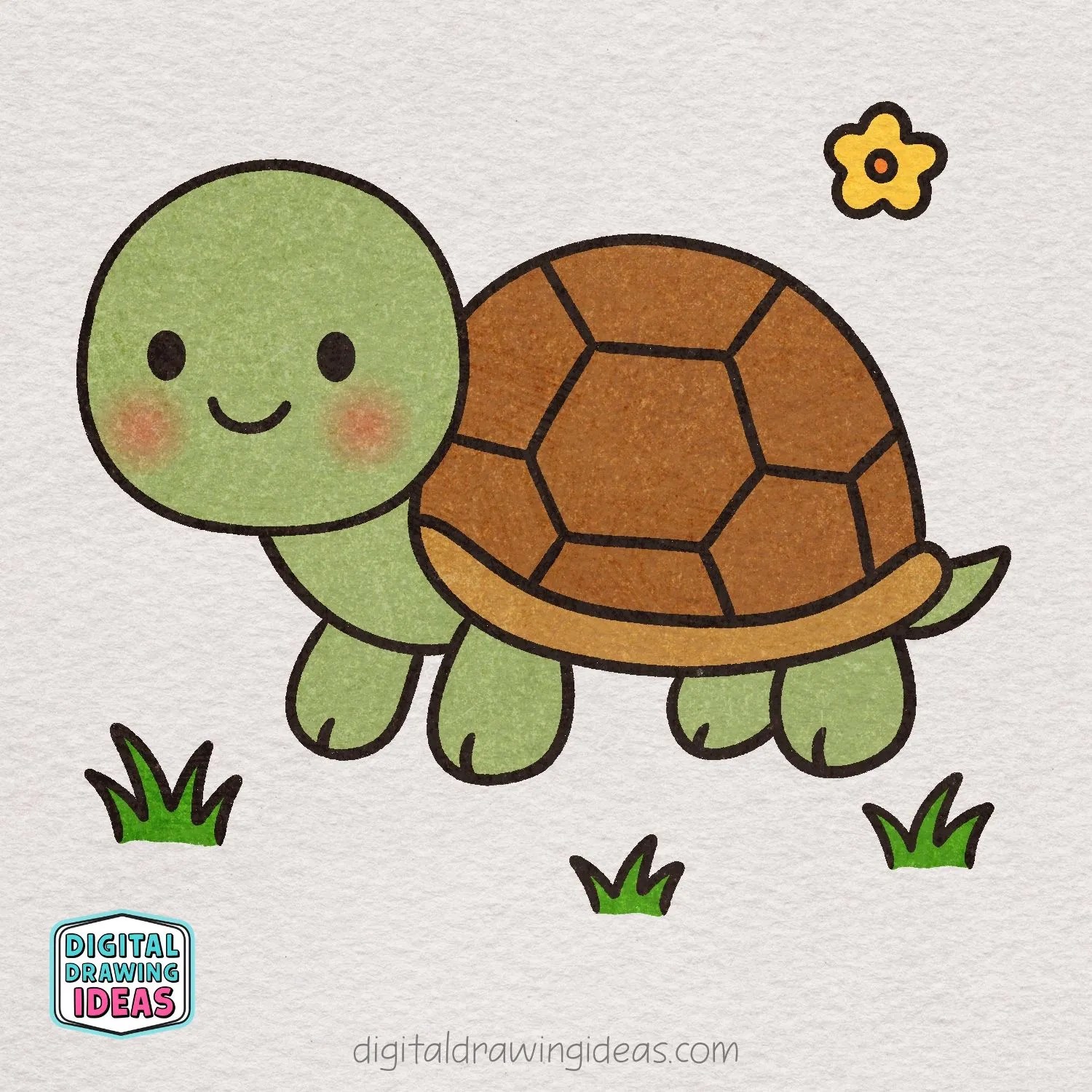 how to draw a turtle - cute turtle drawing
