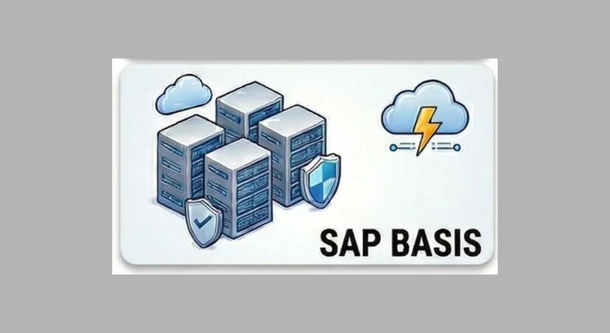 SAP BASIS Classes