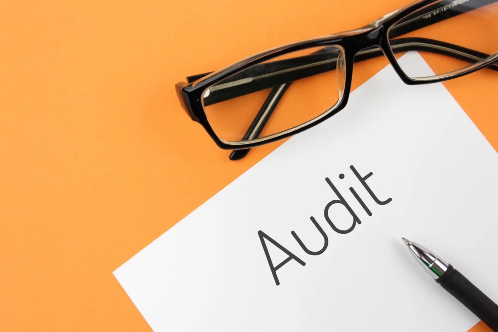 Website & SEO Audit - Digital Junction