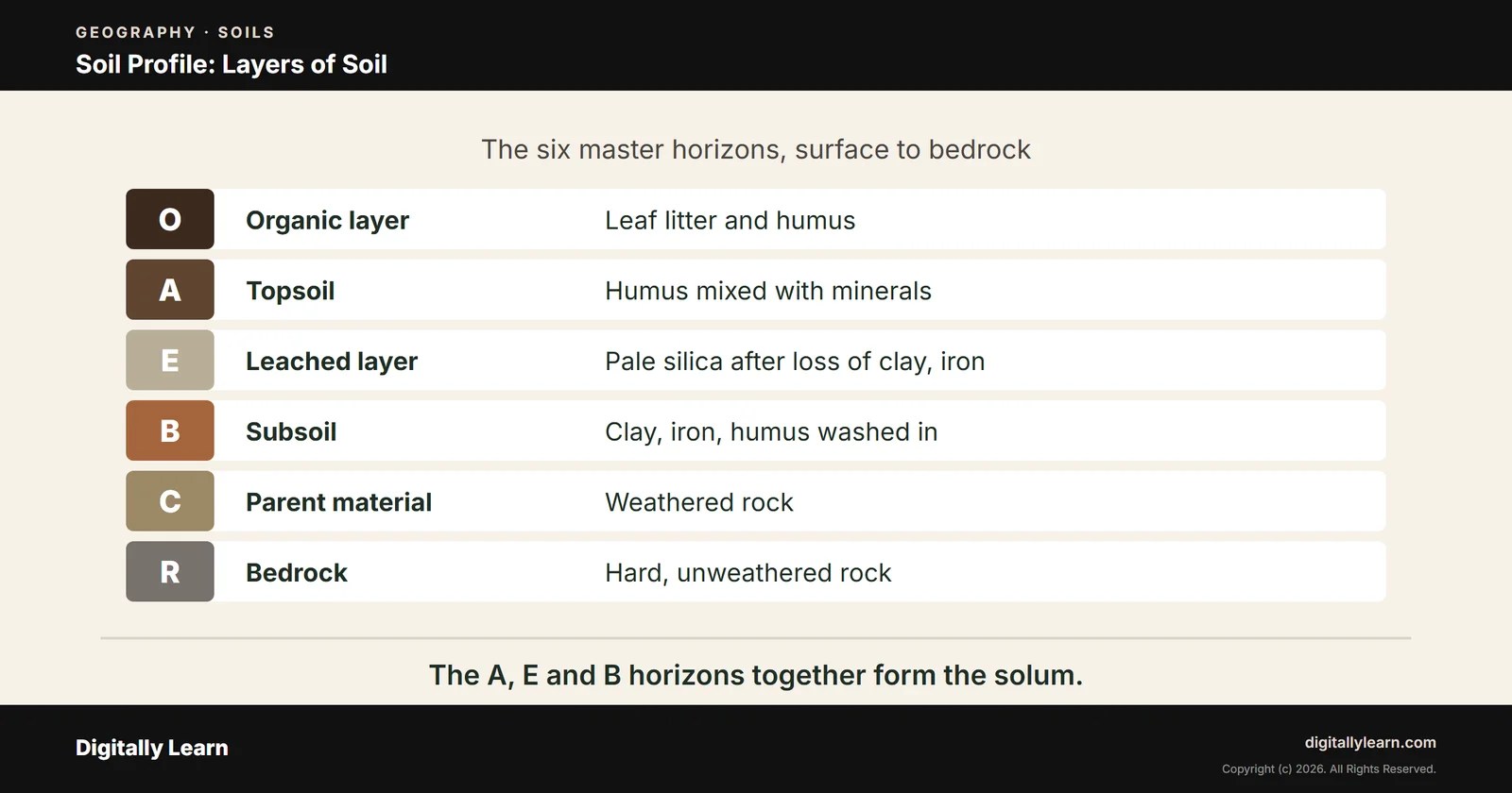 Cover of the article: Soil Profile and Soil Horizons: Layers of Soil, Diagram and the Solum