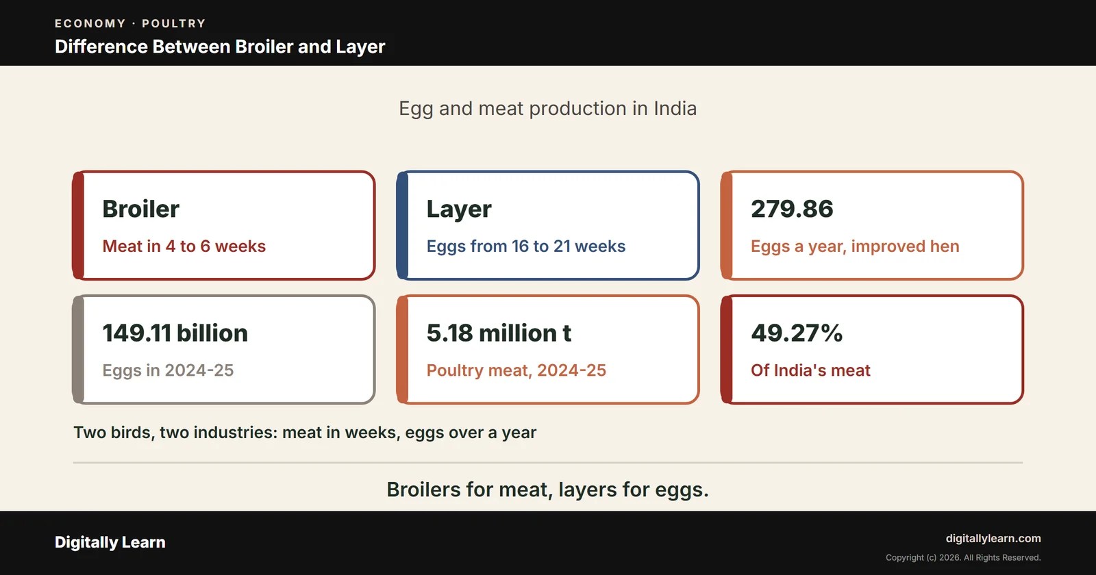 Cover of the article: Silver Revolution Part 3: Difference Between Broiler and Layer, and Egg and Meat Production in India
