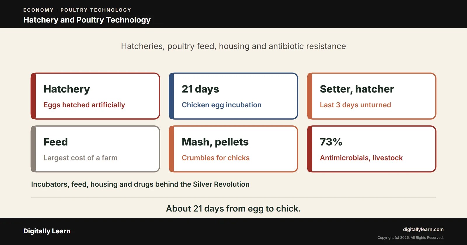 Cover of the article: Silver Revolution Part 4: Hatchery, Poultry Feed and the Technology Behind Indian Poultry