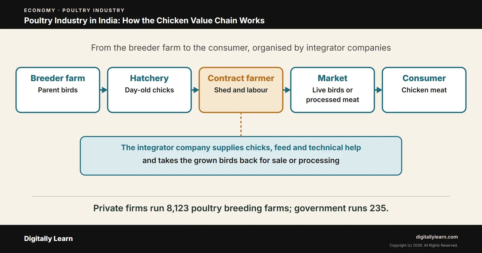 Cover of the article: Poultry Industry in India: Structure, Companies, Exports and Global Rank