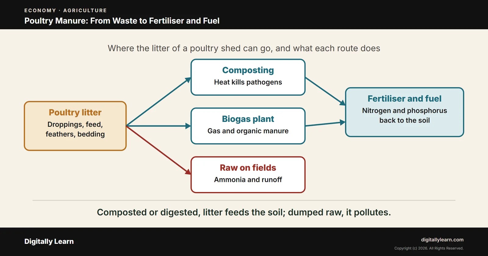 Cover of the article: Poultry Manure: Fertiliser Value, Waste Management and Sustainable Poultry Farming