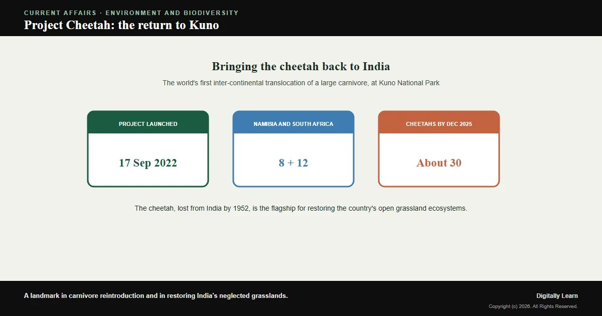 Project Cheetah: India’s Reintroduction of the Cheetah at Kuno National Park