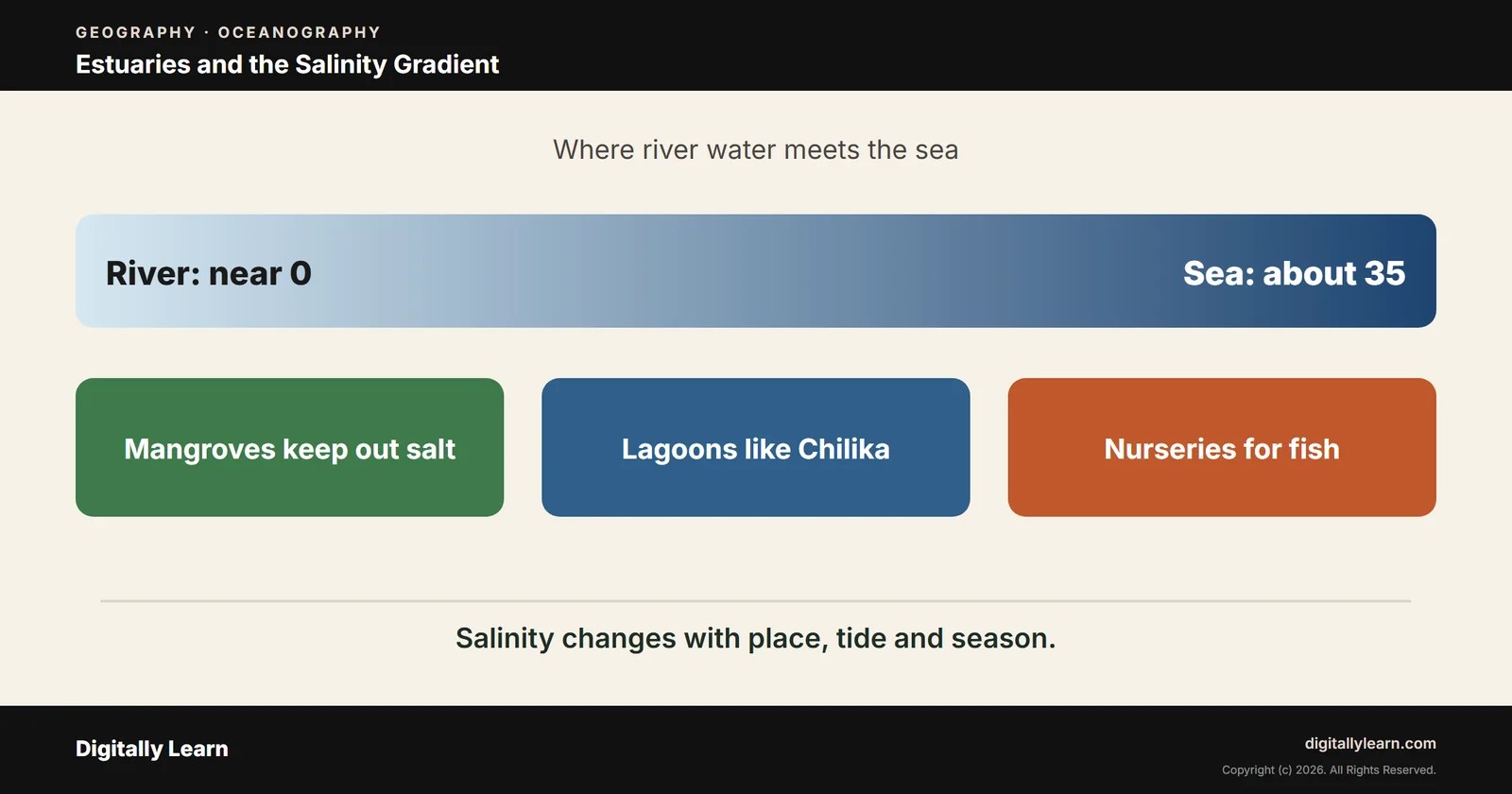 Cover of the article: Estuary: Meaning, Types, Salinity Gradient, Mangroves and Estuaries in India