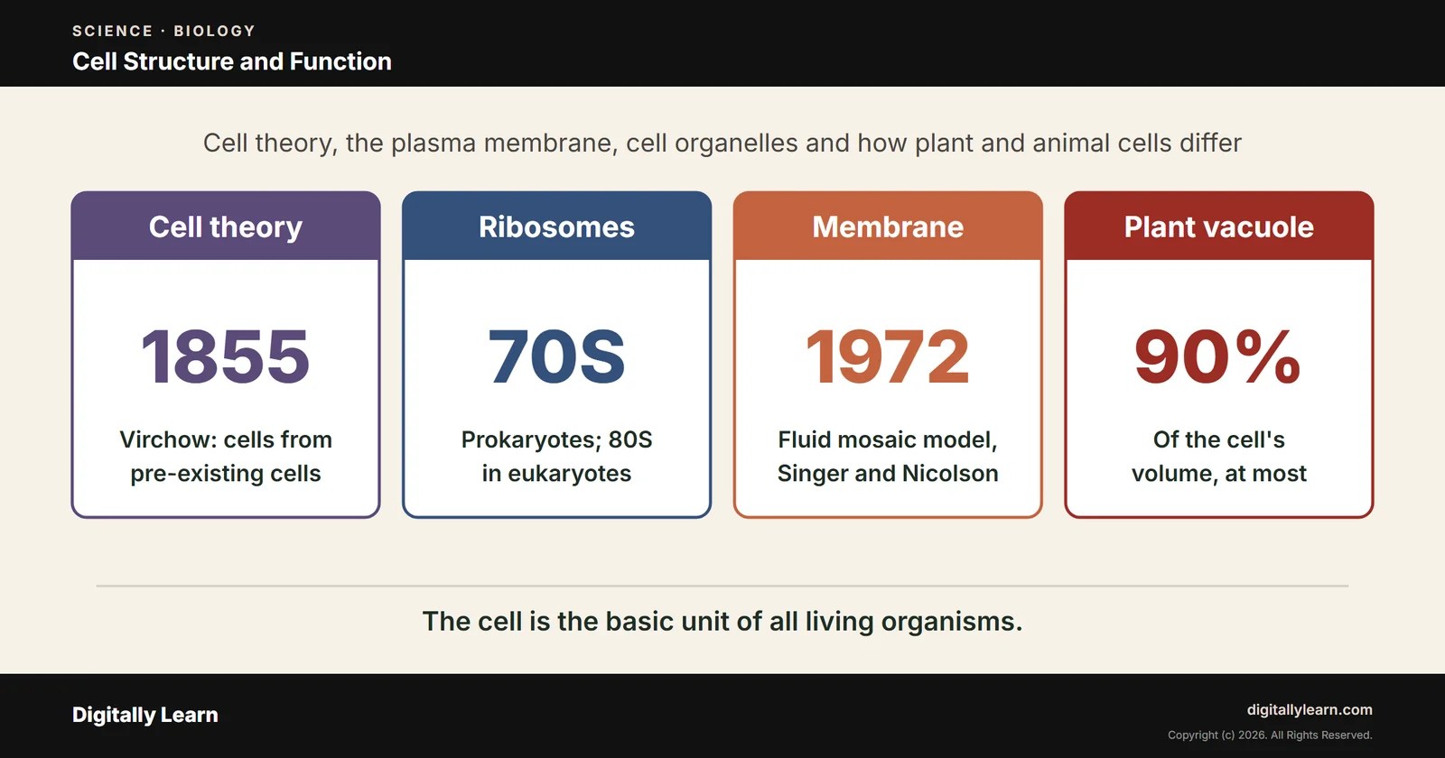 Cell Structure and Function: Organelles, Membrane and Cell Types