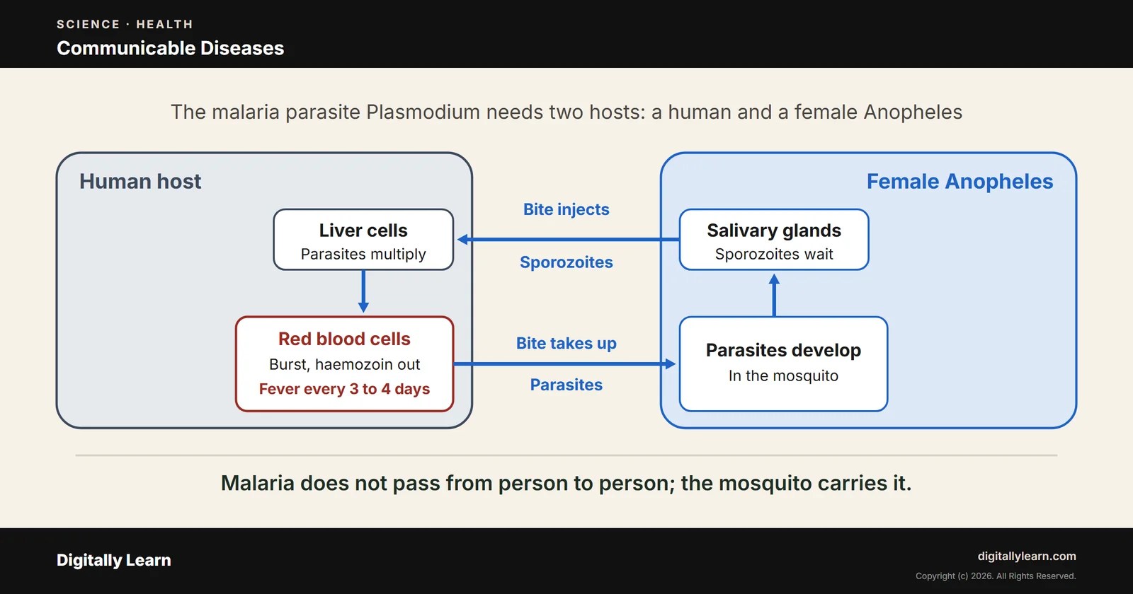 Communicable Diseases: Bacterial, Viral, Protozoan and Vector-Borne Diseases in India