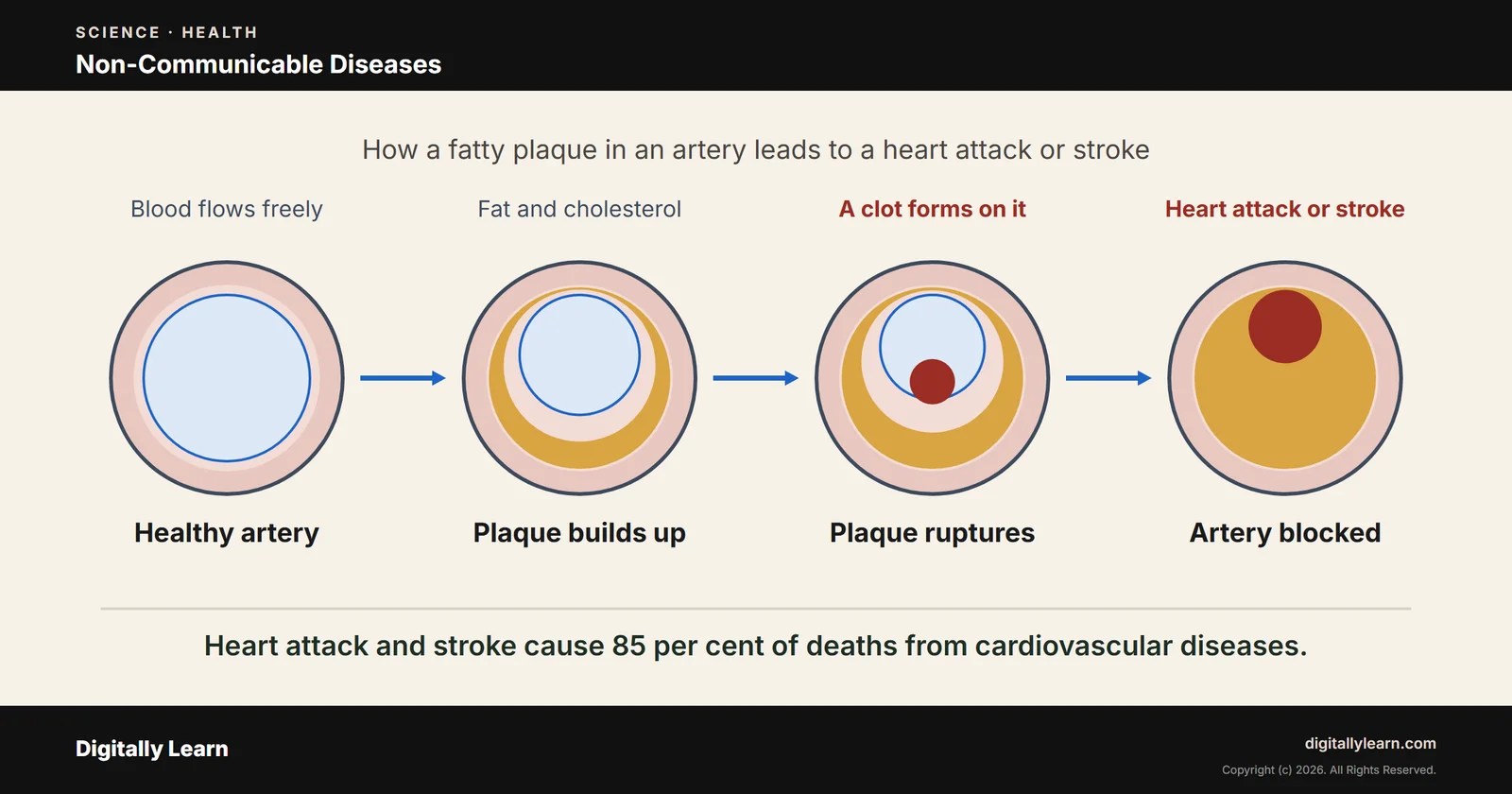Non-Communicable Diseases: Heart Disease, Cancer, Diabetes and Chronic Lung Disease in India