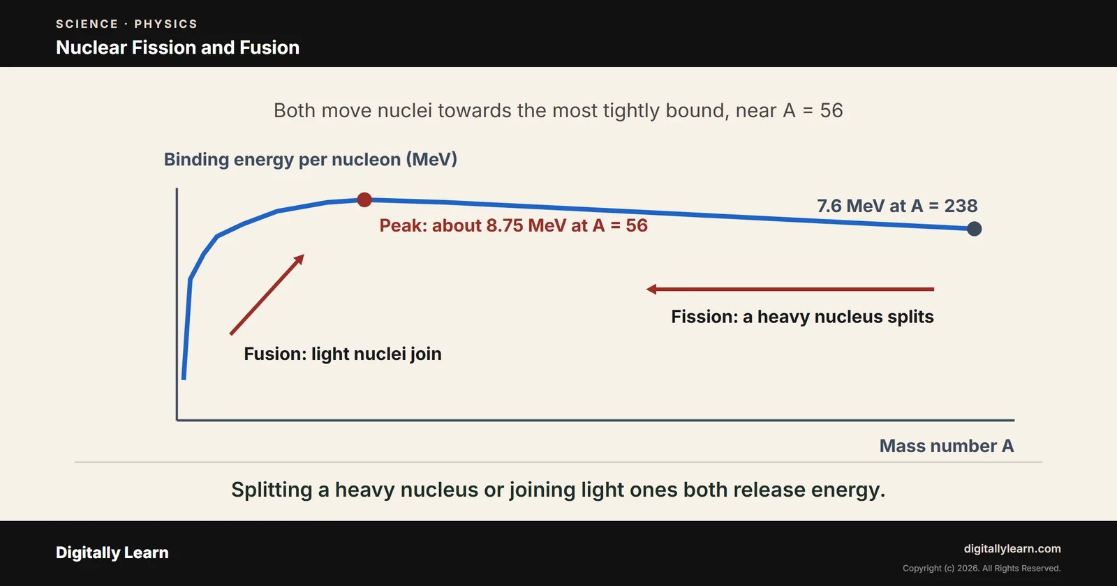 Nuclear Fission and Fusion: Radioactivity, Half-Life and Nuclear Reactors