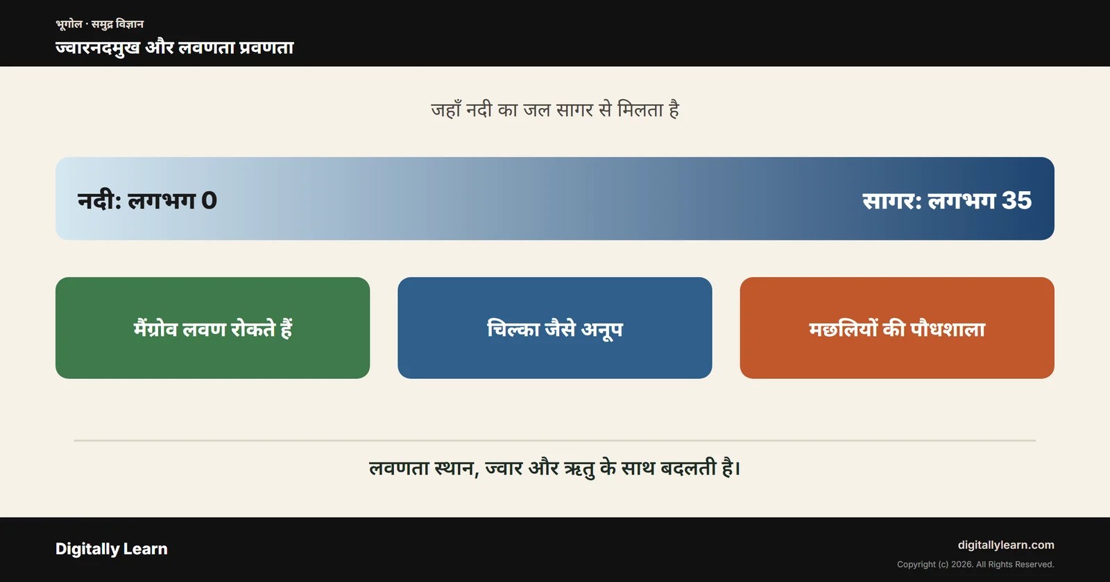 ज्वारनदमुख: अर्थ, प्रकार, लवणता प्रवणता, मैंग्रोव वन और भारत के ज्वारनदमुख