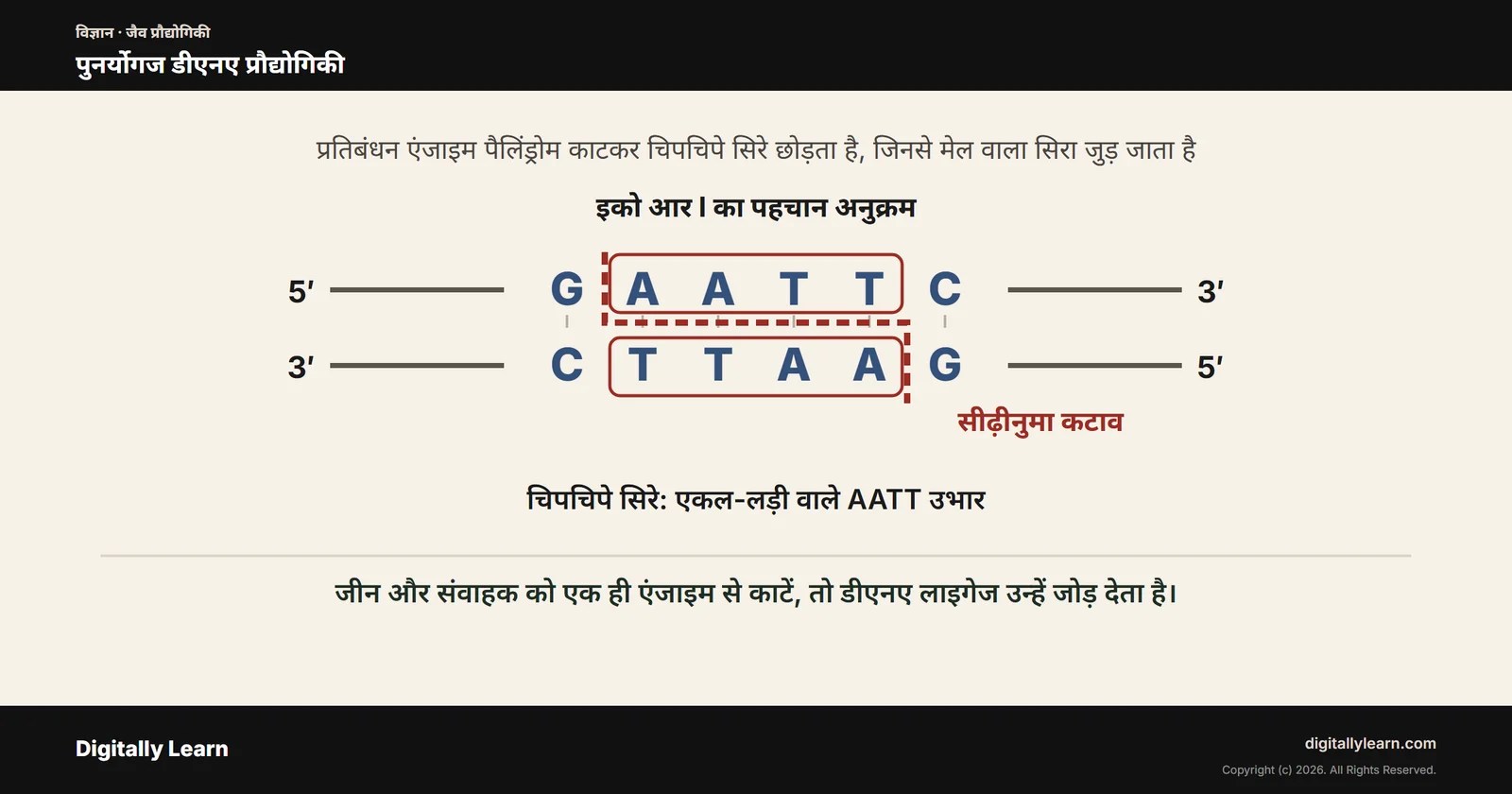 पुनर्योगज डीएनए प्रौद्योगिकी: उपकरण, पीसीआर, डीएनए फिंगरप्रिंटिंग और क्रिस्पर
