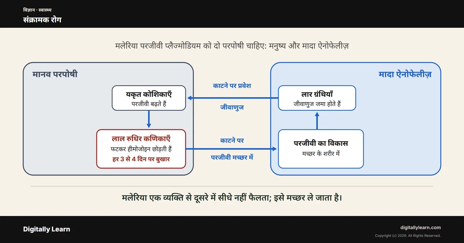 संक्रामक रोग: भारत में जीवाणु, विषाणु, प्रोटोजोआ और वेक्टर जनित रोग