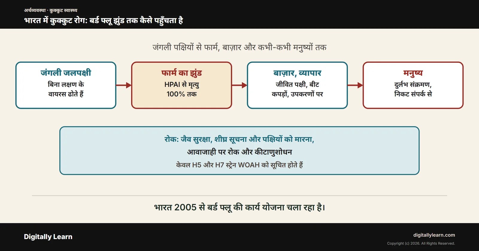 भारत में कुक्कुट रोग (मुर्गियों के रोग): बर्ड फ्लू, रानीखेत रोग, मारेक रोग और जैव सुरक्षा
