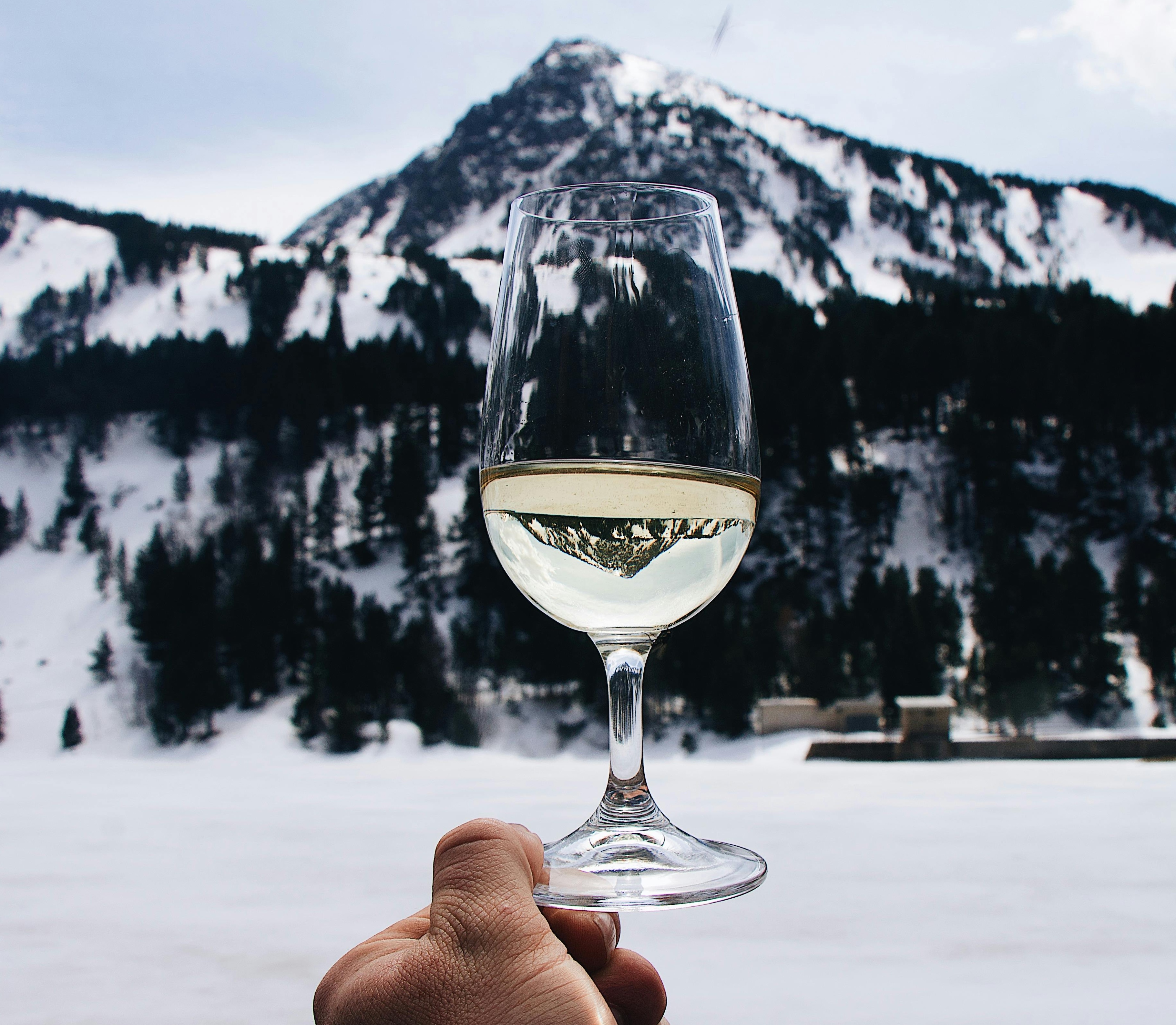 Strategizing for Success: Preparing Your Luxury Winery for 2024