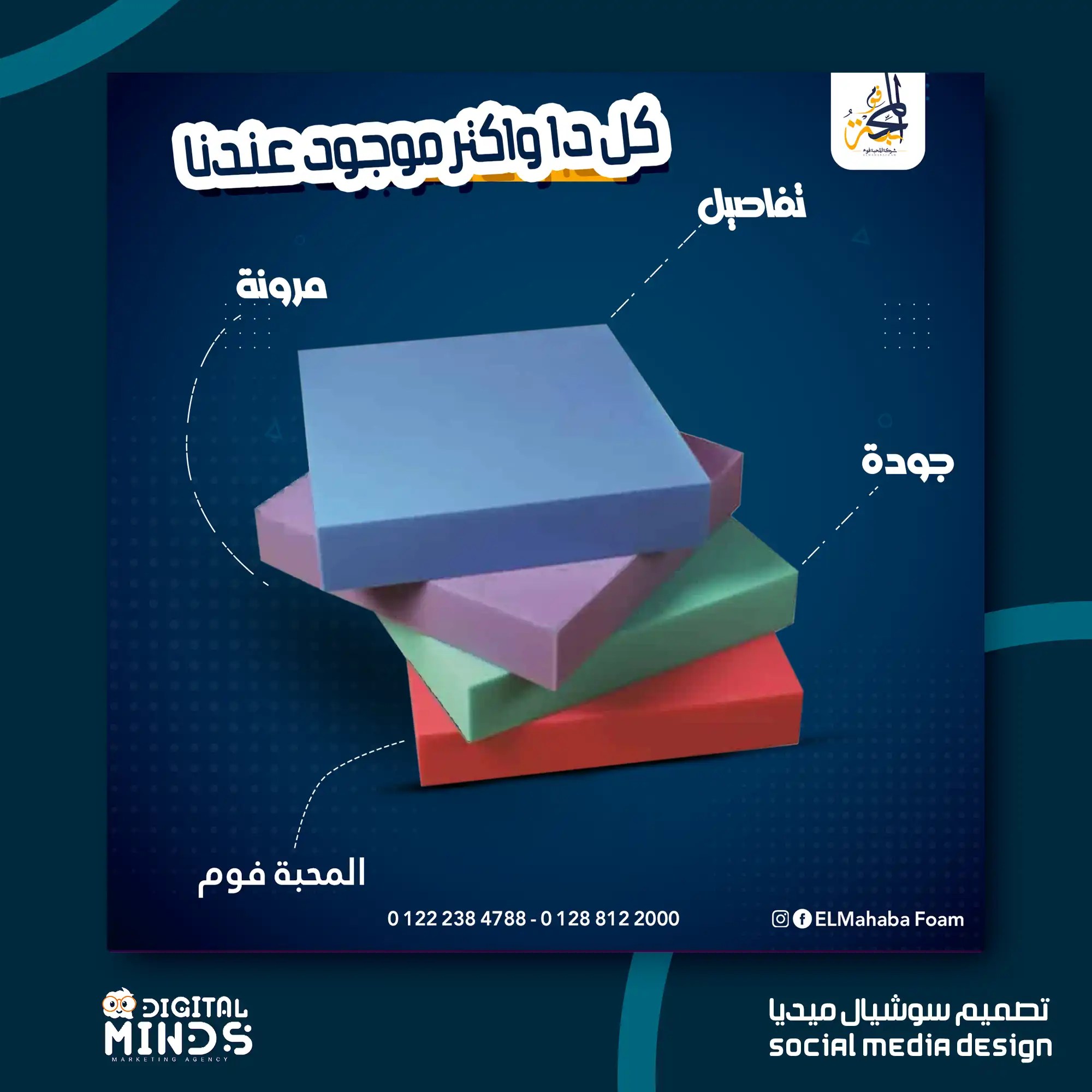 Digital Minds Egypt - social media