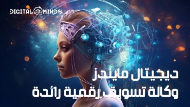 Digital Minds Egypt