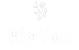 rip van