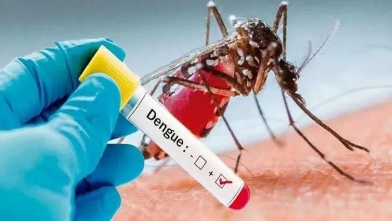 Brasil: un laboratorio público desarrolló una vacuna contra el dengue con casi el 80% de efectividad