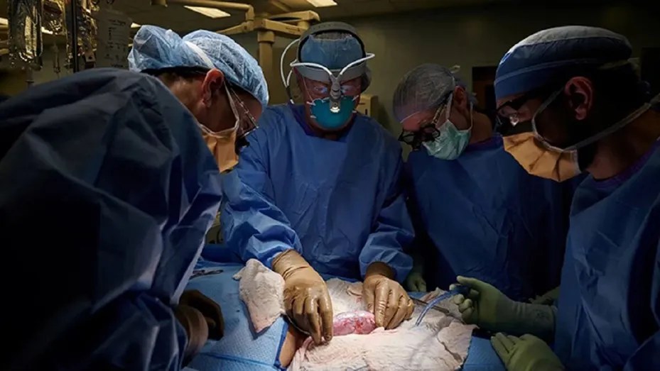 Condenaron a los médicos que le sacaron el riñón equivocado a una paciente
