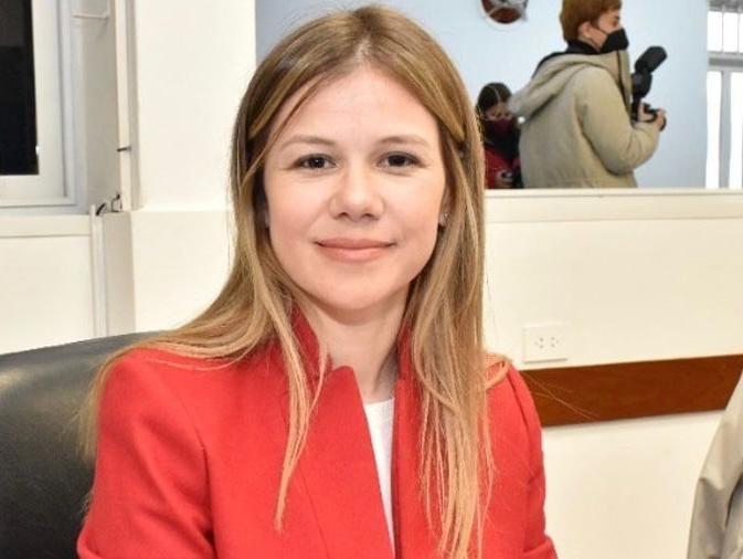 «Las mezquindades no sorprenden cuando vienen de diputados que reponden a Capitanich» dijo Reiser