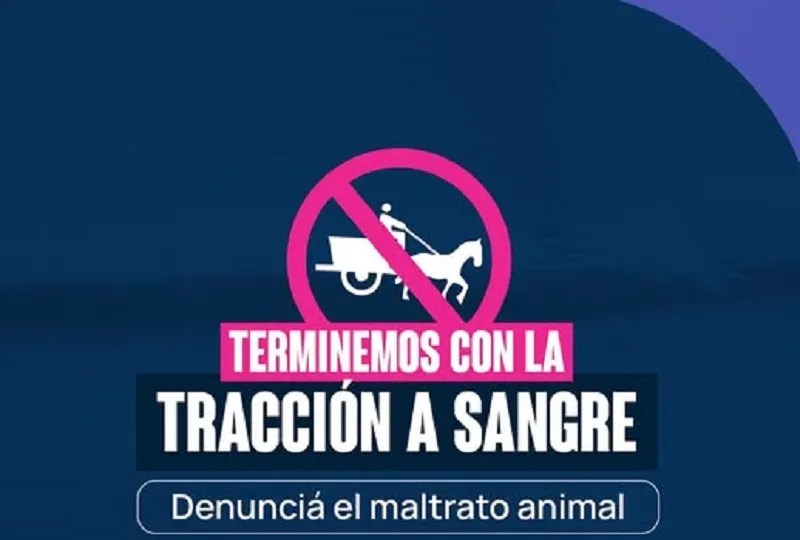 Impulsan la erradicación de la tracción a sangre en Resistencia