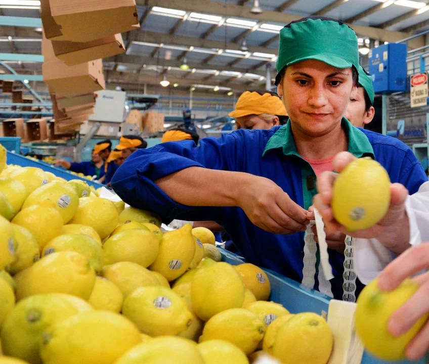 Productores de verduras y frutas salen a vender a bajos precios eliminando intermediarios