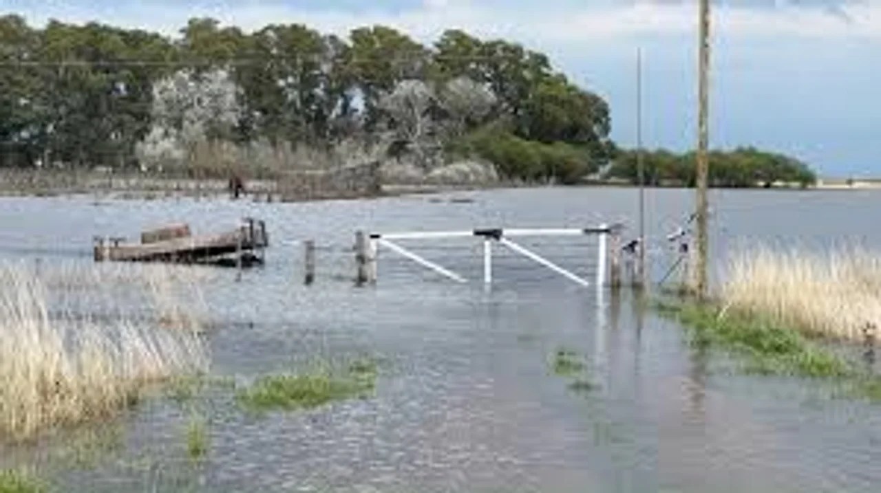 Declaran la emergencia agropecuaria en Buenos Aires y San Juan