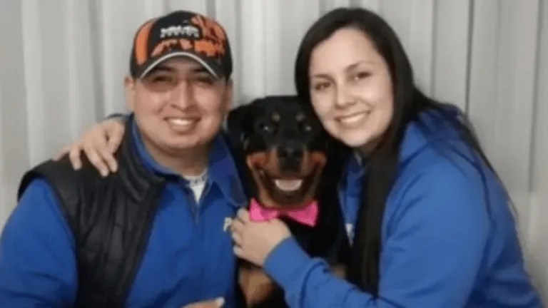 Una pareja probaba un auto de rally que iba a comprar, pero chocaron y murieron