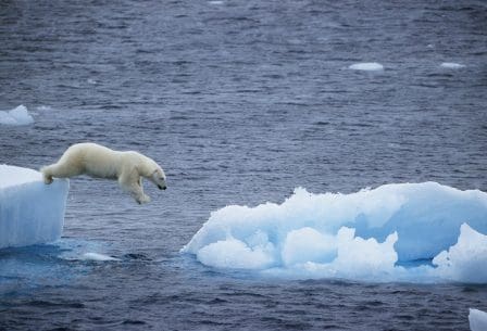 A polar bear in mid-air leaping from an ice floe above the dark ocean water to another small ice formation. The scene captures the stark contrast between the bear's white fur and the blue ice, highlighting the Arctic environment.