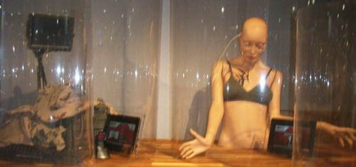 13_228-jpg