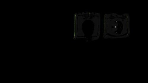 Two dark electrical sockets displayed on a black background, one with a round hole and the other with two circular holes. The sockets are positioned side by side, showcasing their different designs.