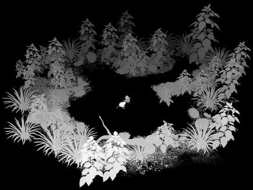 A monochromatic illustration of a serene circular garden, featuring an arrangement of detailed plants and foliage around a small pond in the center, set against a dark background.