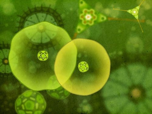 A detailed illustration of microscopic organisms in vibrant green hues, featuring two overlapping cells with central structures, surrounded by various smaller cellular forms and intricate patterns on a textured background.